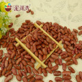 Precio del fabricante chino de Light Kidney Beans / lentejas rojas / frijol enlatado al por mayor